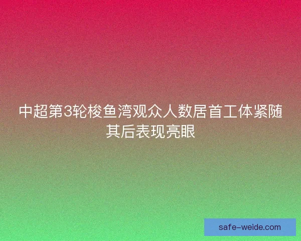 中超第3轮梭鱼湾观众人数居首工体紧随其后表现亮眼